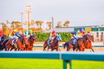 有馬記念の歴代勝ち馬 過去の優勝馬