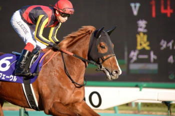 有馬記念の過去の優勝騎手