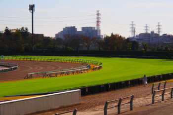 有馬記念は過去にどの枠がよく入っている